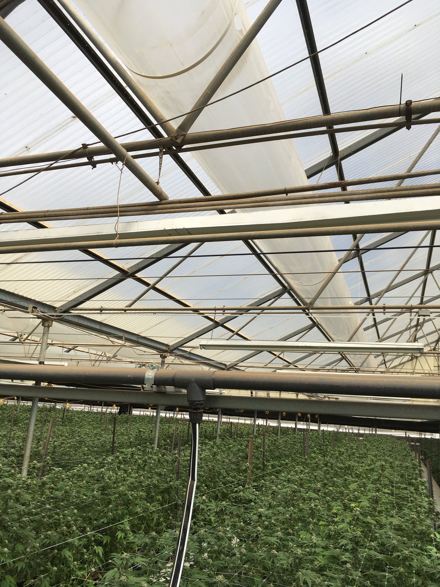 Convection Tubing